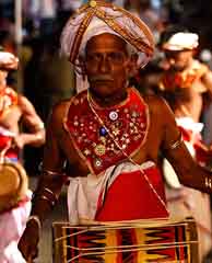 Lanka Sanka Tours